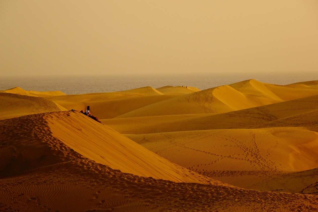 A vast desert at dusk