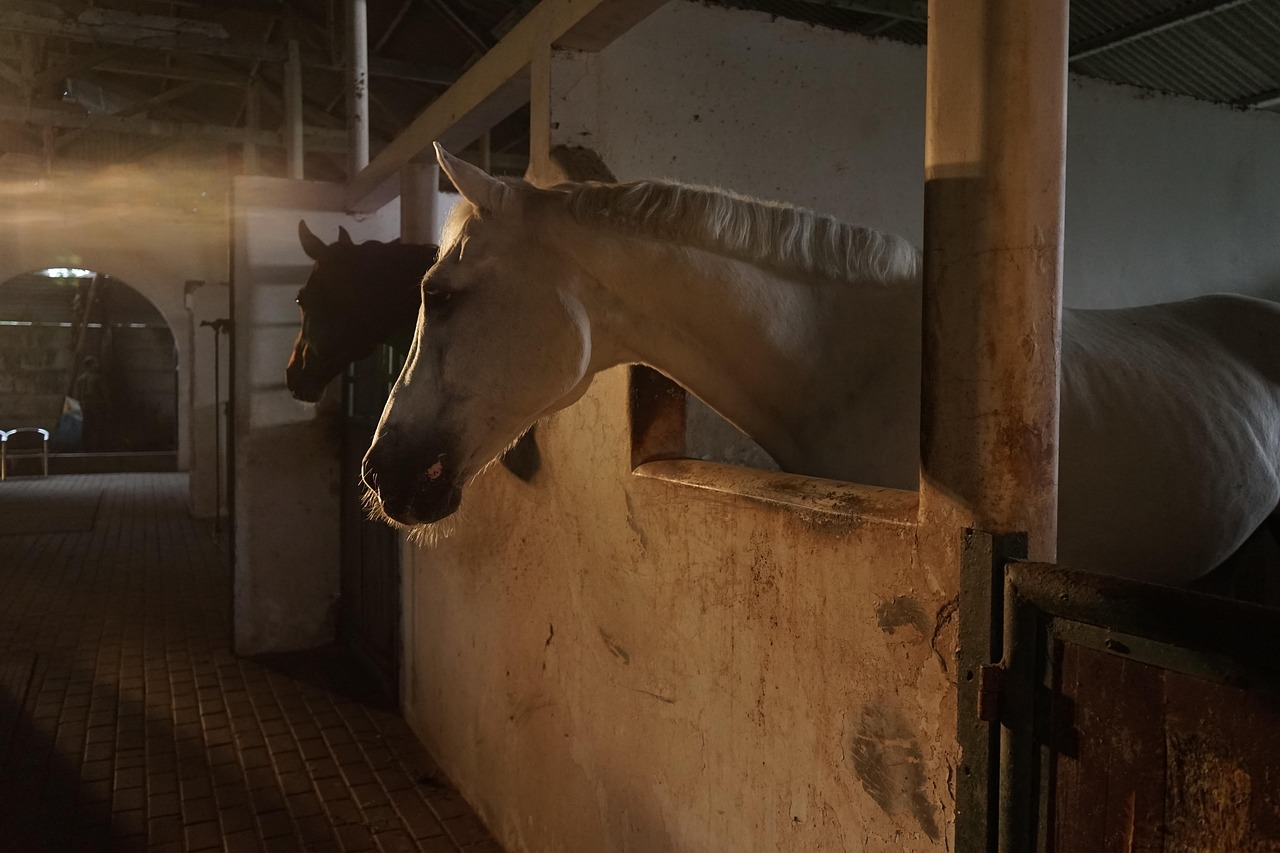 A horse standing in a stable