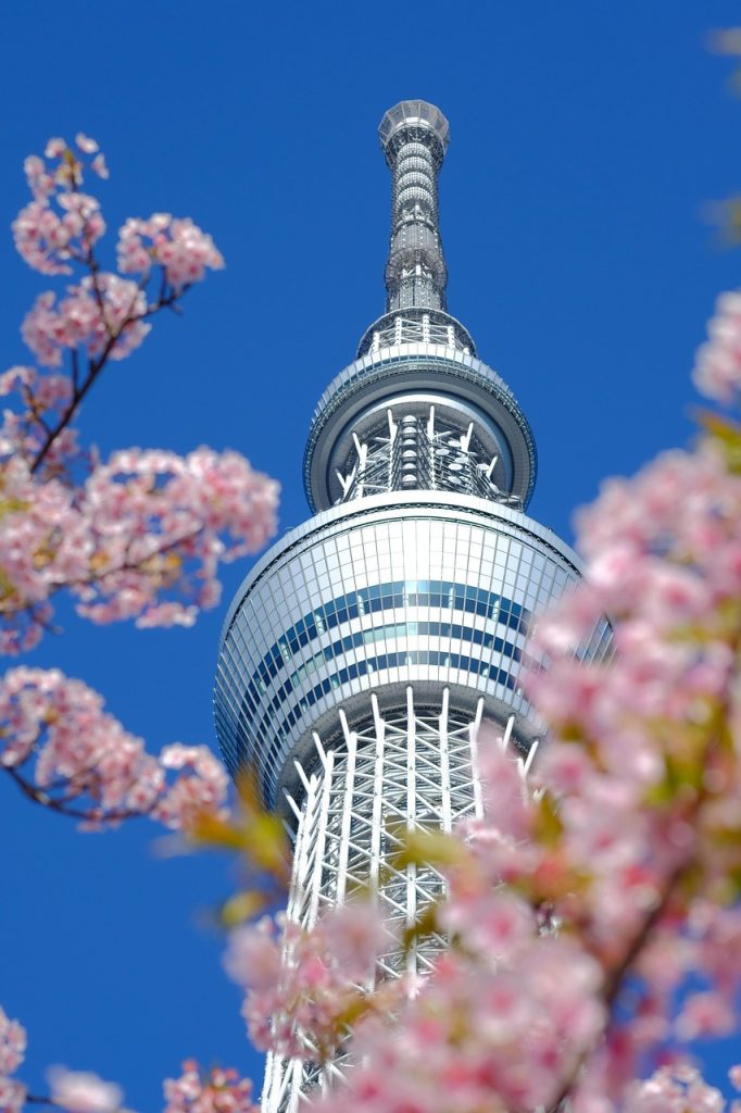 Tokyo’s Top Landmarks: Skytree, Tokyo Tower & Shibuya Crossing