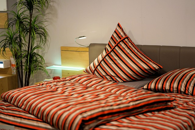 A comfortable hotel room
