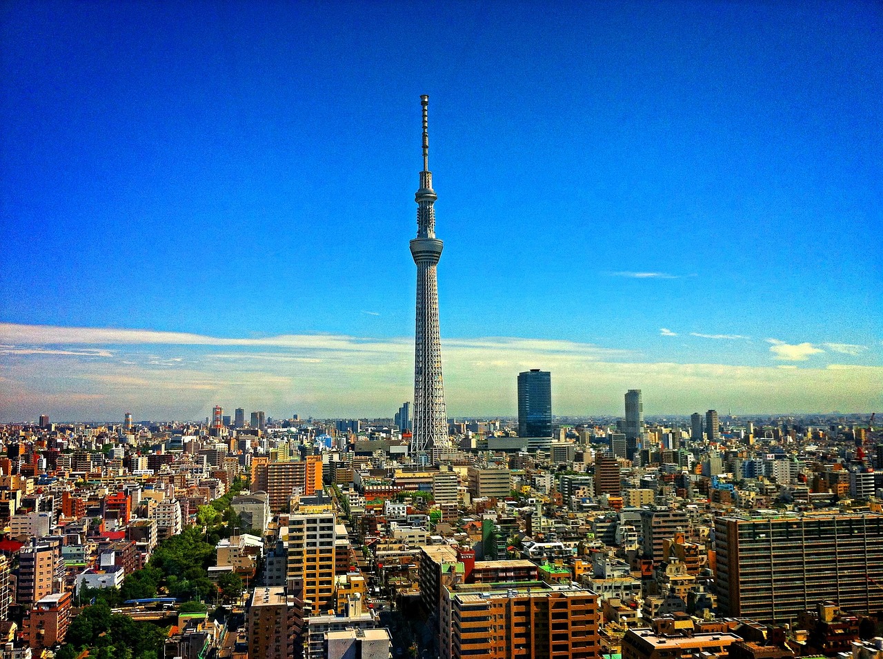 Tokyo Tower lit up against the city skyline