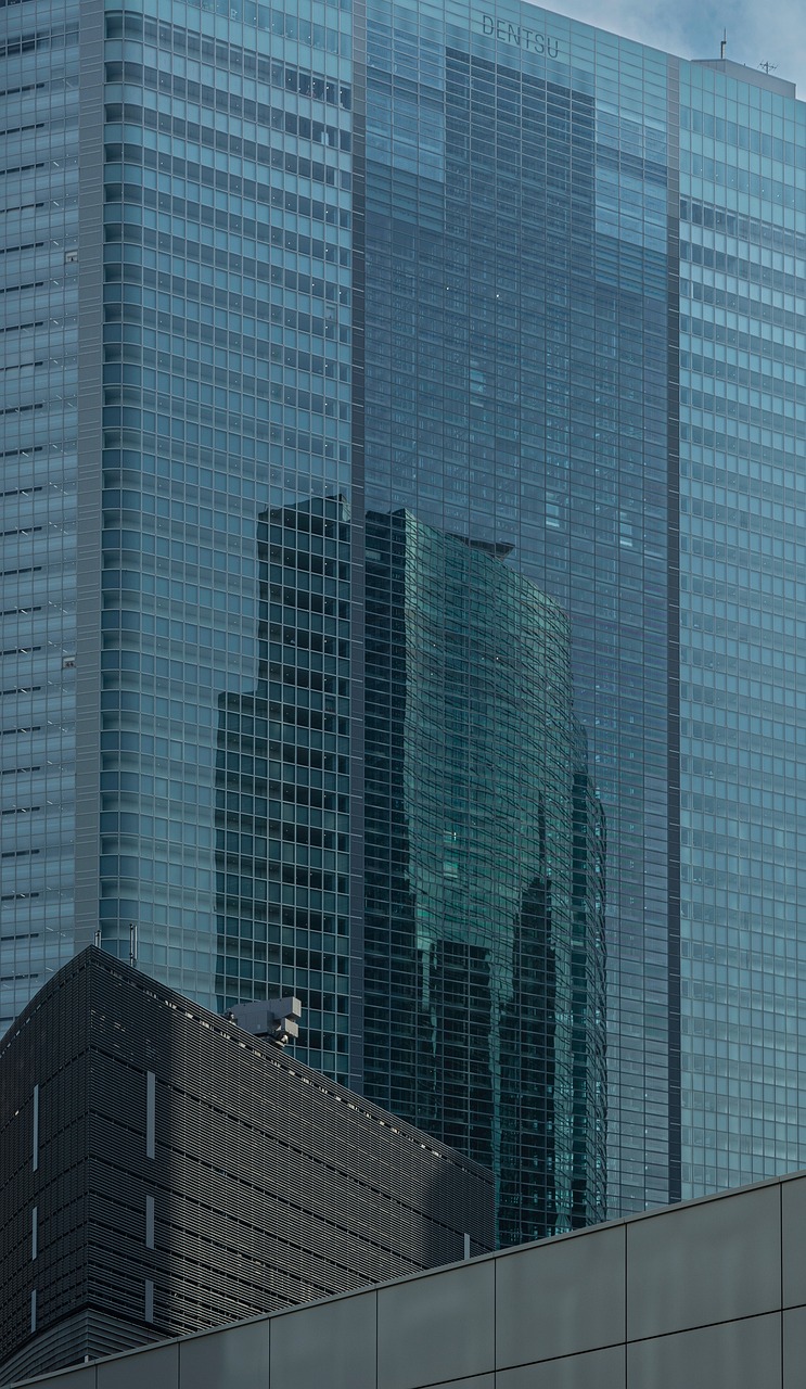 The Tokyo skyline