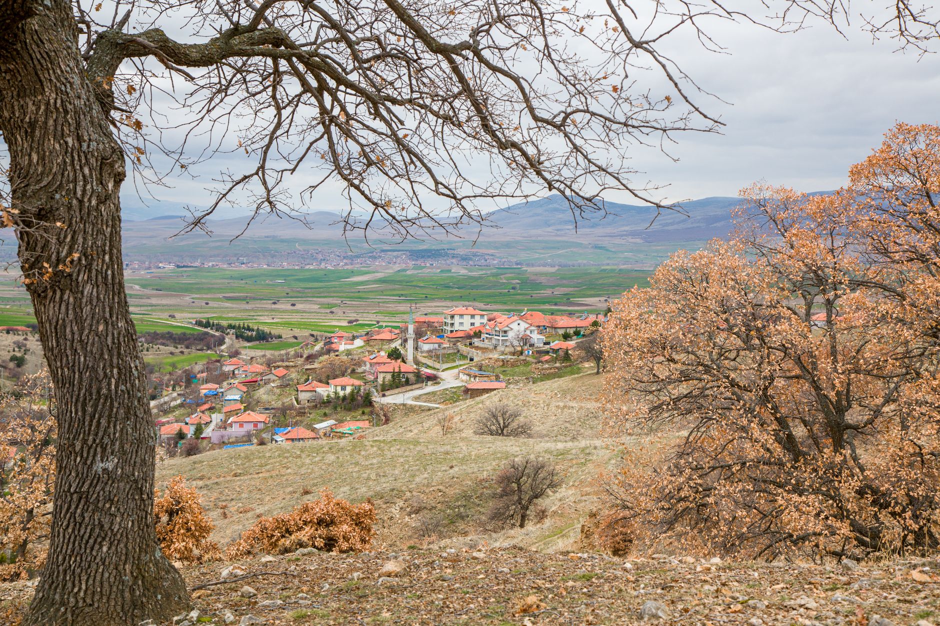 Turgut Village