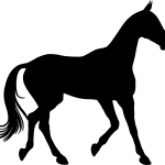 Akhal-Teke horse, the pride of the Turkmen