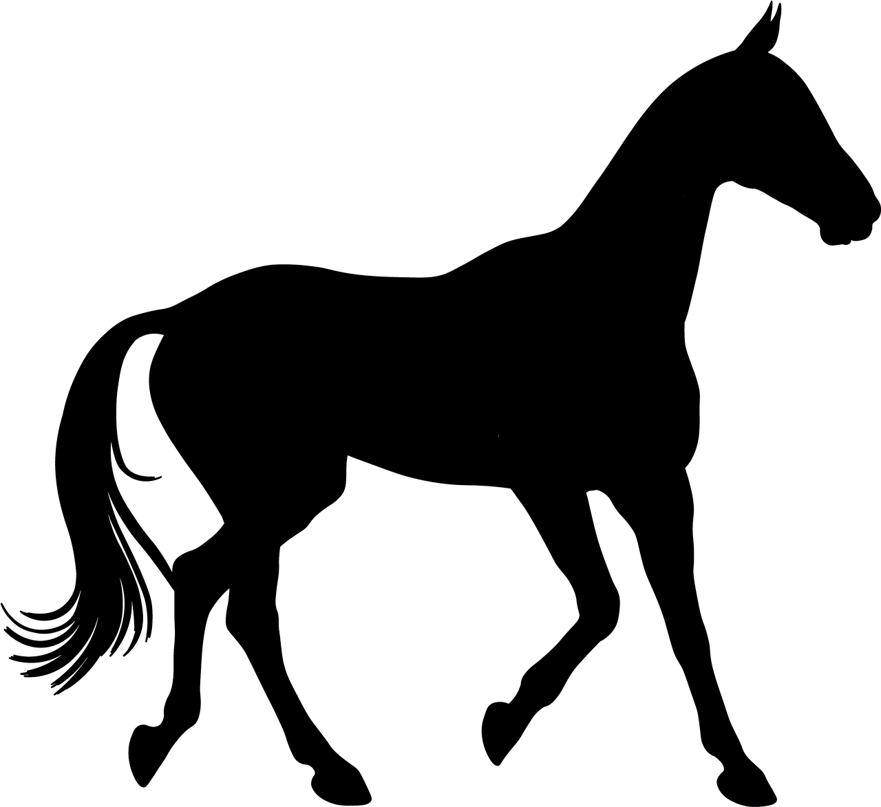 Akhal-Teke horse, the pride of the Turkmen