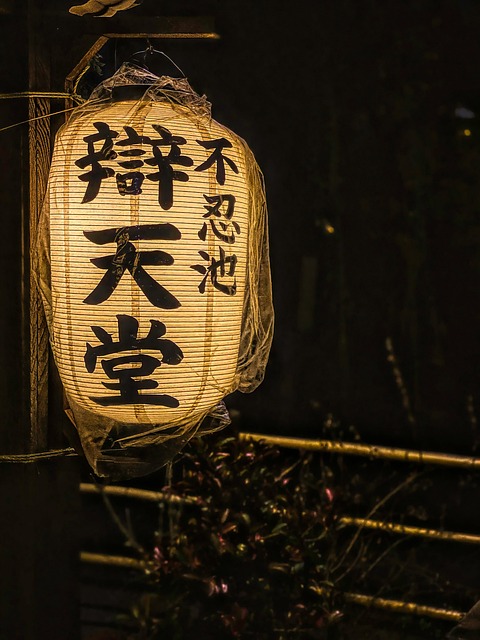 Paper lanterns near Ueno