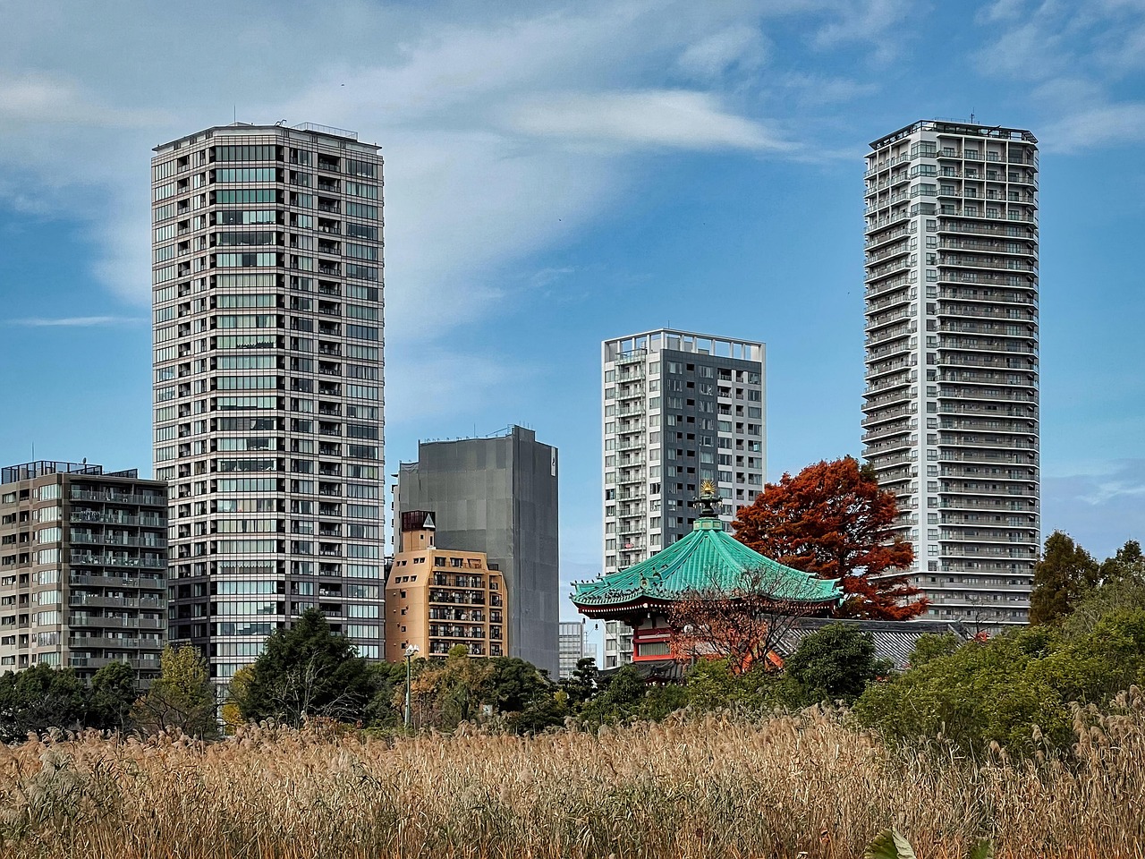 Shinobazu Pond and greenery in Ueno Park, Tokyo