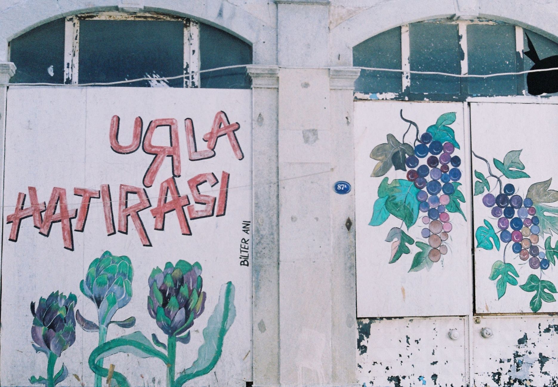 Urla Travel Guide: Places to See, What to Eat, Where to Stay?