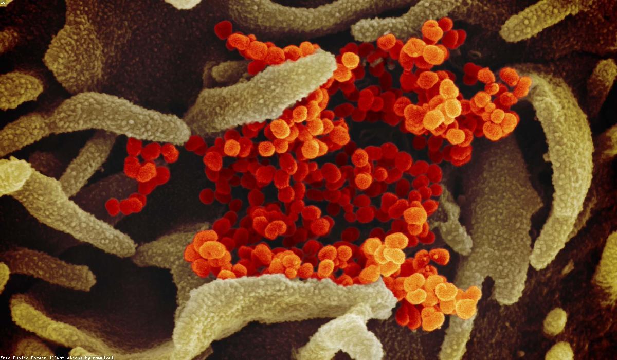 A virus under microscope