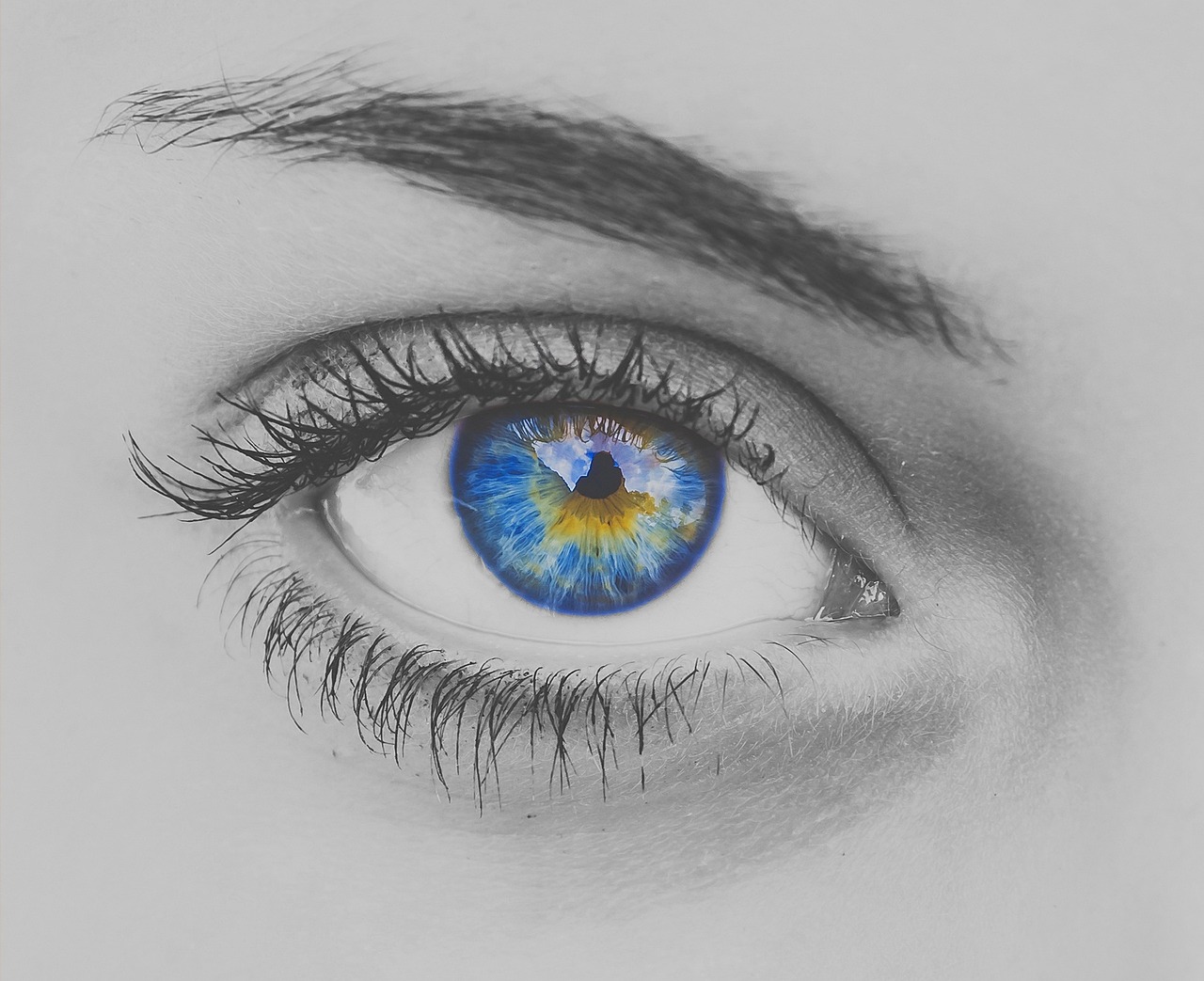 A close-up of a healthy human eye