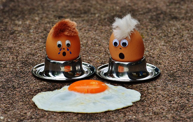 Eggs, a source of vitamin B12