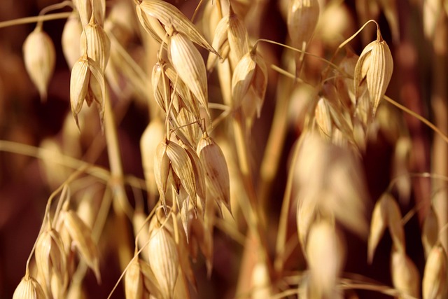 Whole grains