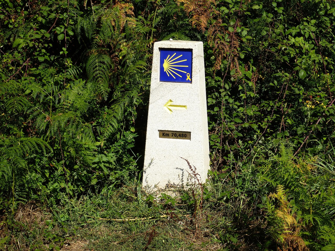 Scallop shell waymarker on the Way of St James