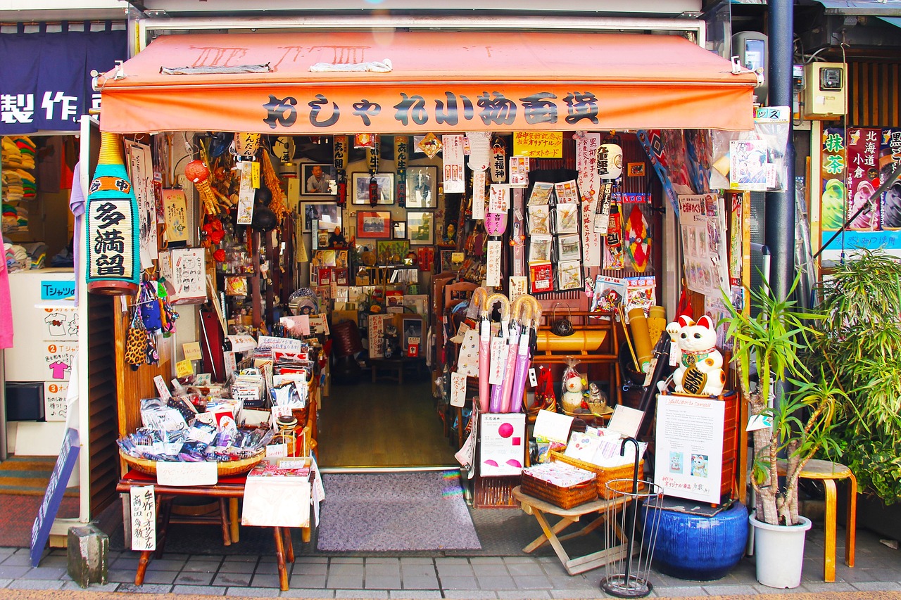 A cat in Yanaka, Tokyo's cat district