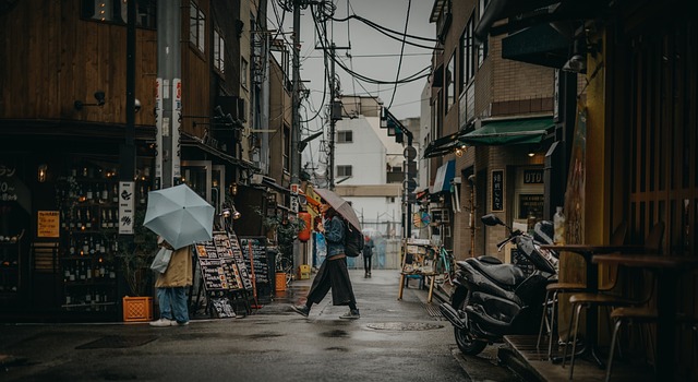 Quiet backstreets of old Tokyo