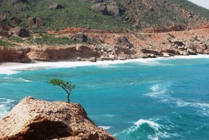 The wild coastline of Socotra island where Yemen meets the Arabian Sea