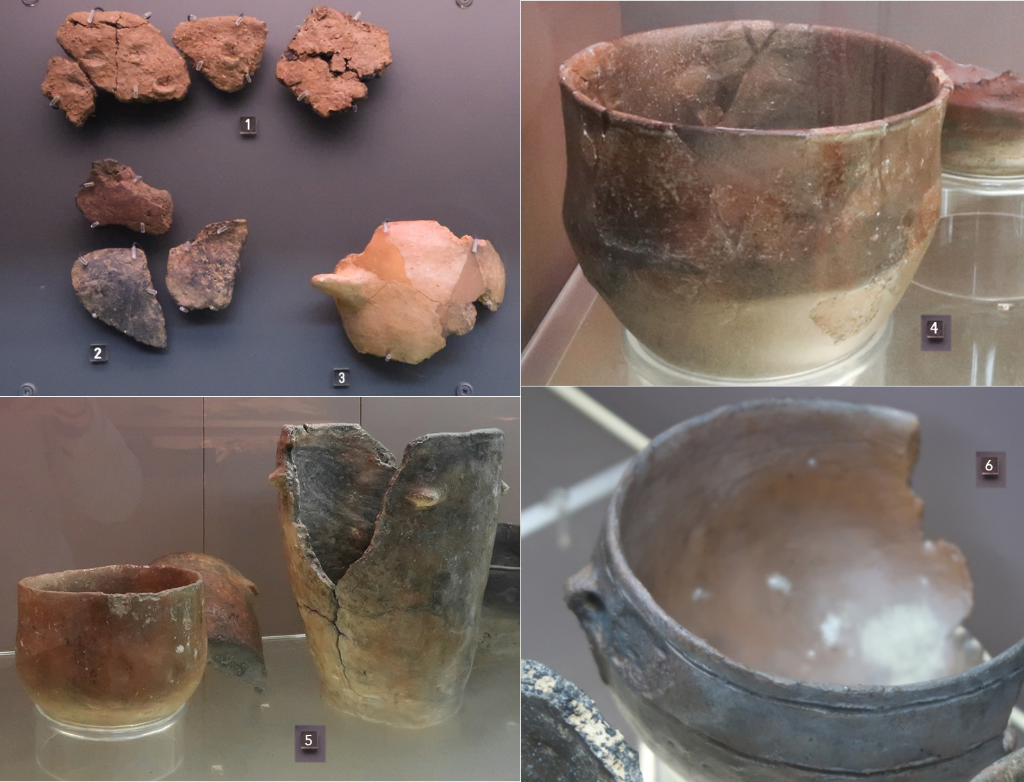 Neolithic pottery recovered from the Bougon necropolis