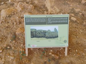 The curved facade of one of the Mnajdra temples built from great stone slabs