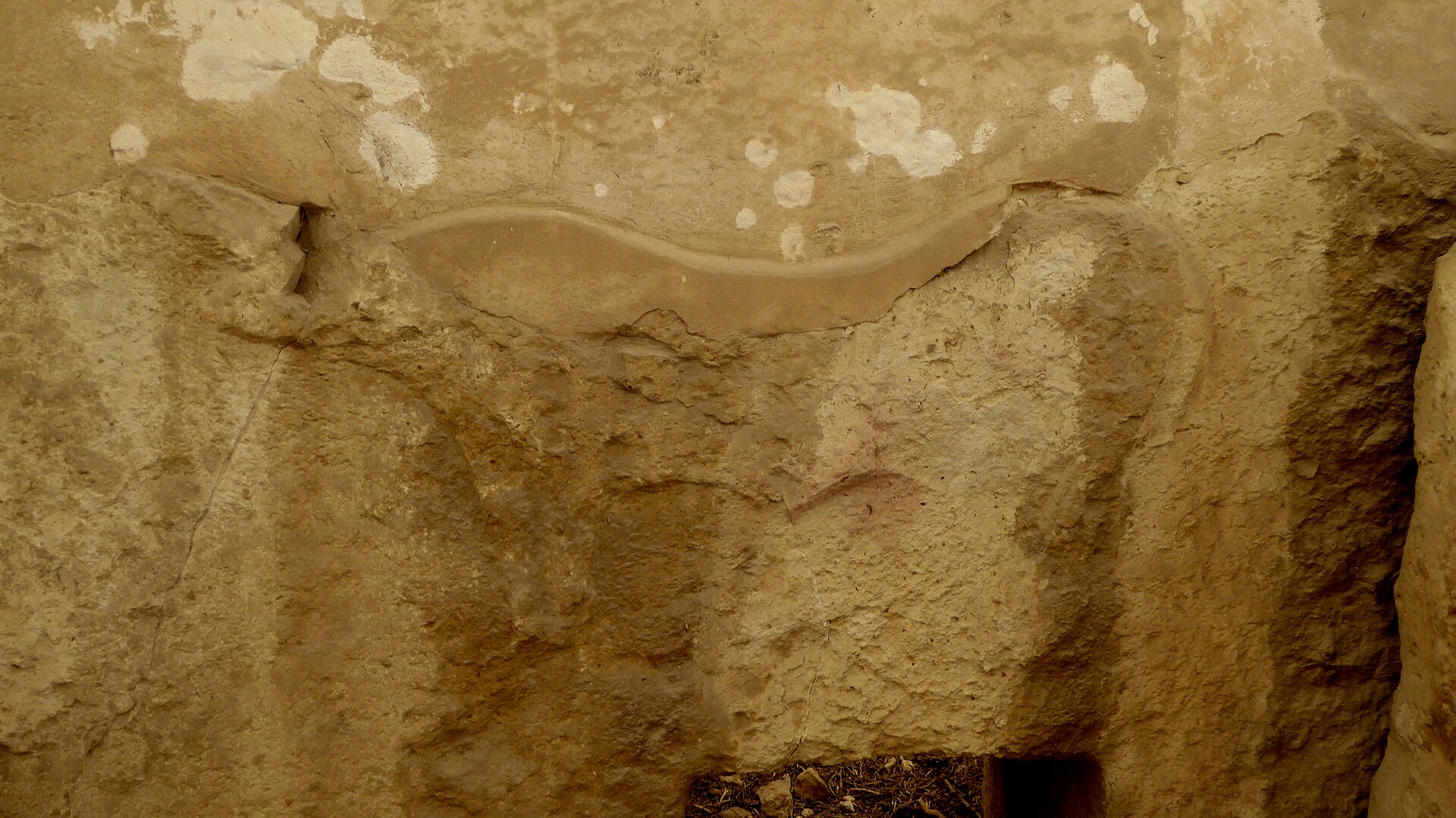 An animal frieze carved in low relief along one of the great megaliths