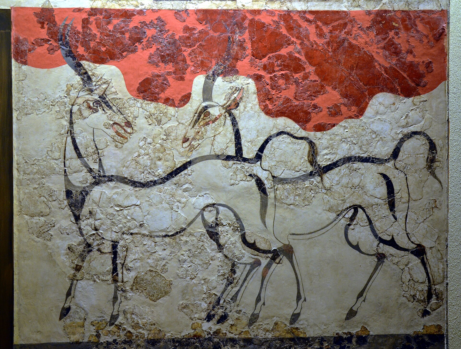 Antelopes Fresco