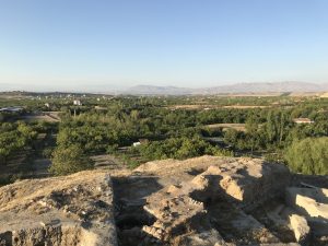 Excavated remains at Arslantepe mound