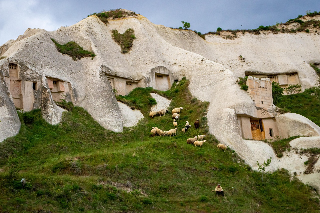 A shepherd and his flock in the high pastures