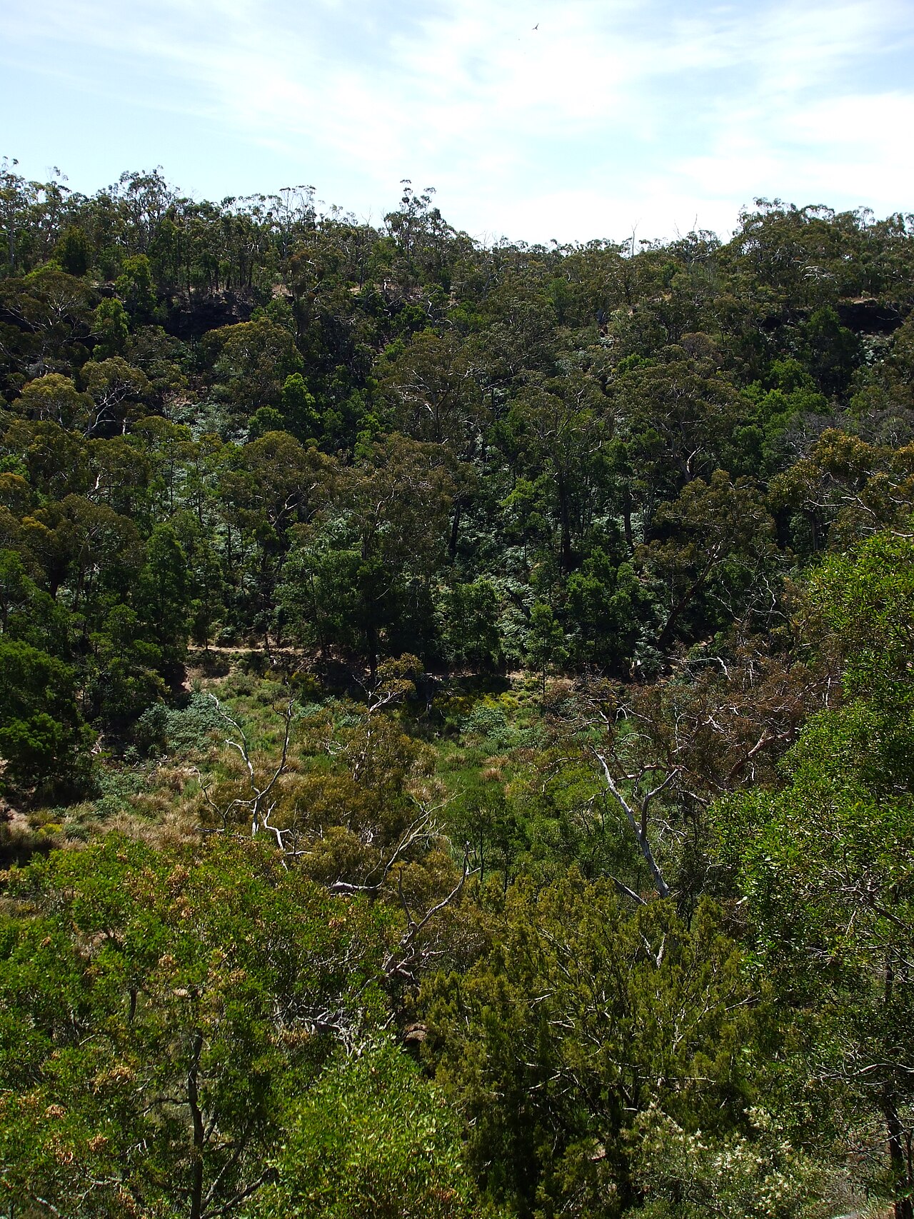 Budj Bim ‐ Mt Eccles National Park, Victoria, Australia