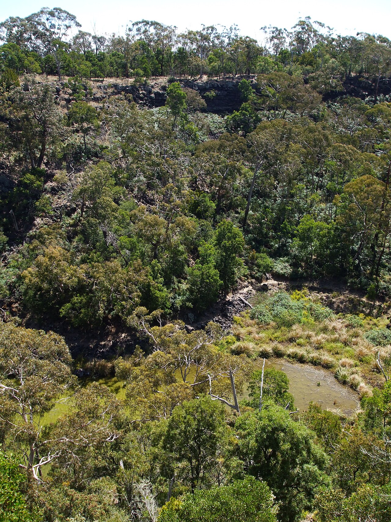 Budj Bim ‐ Mt Eccles National Park, Victoria, Australia