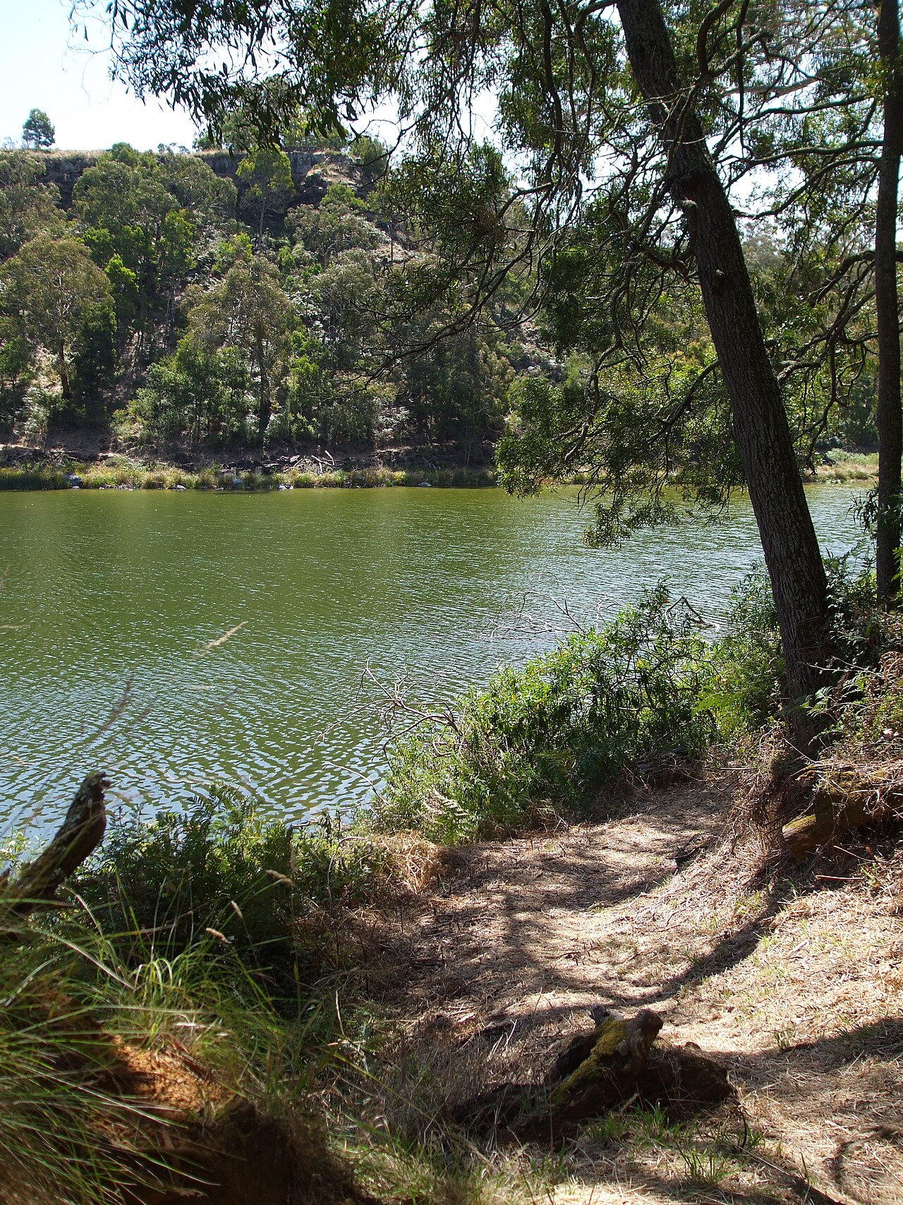 Lake Surprise, Budj Bim ‐ Mt Eccles National Park, Victoria, Australia