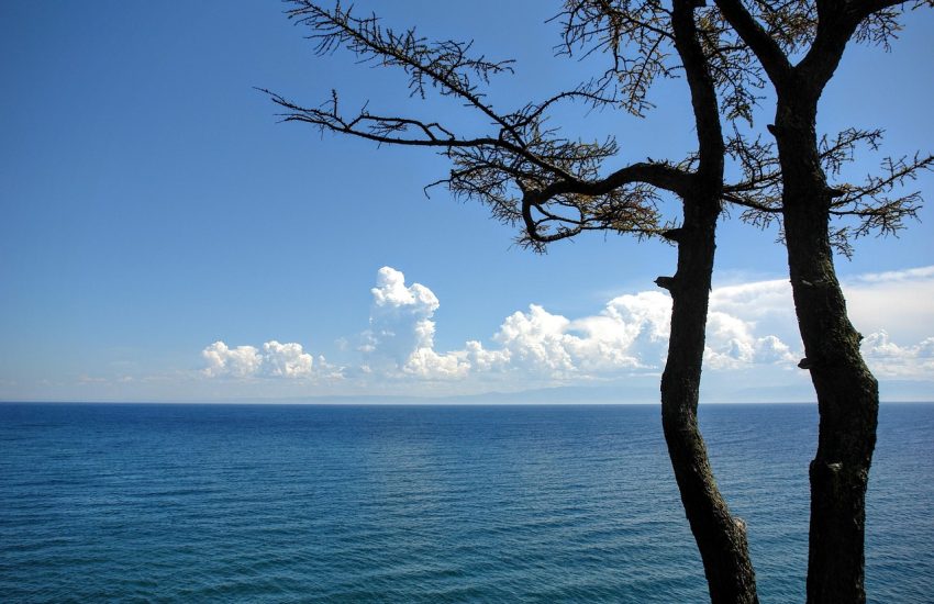 Lake Baikal seen through a larch tree