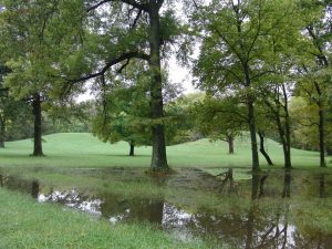 General overview of the Cahokia Mounds archaeological site in Illinois