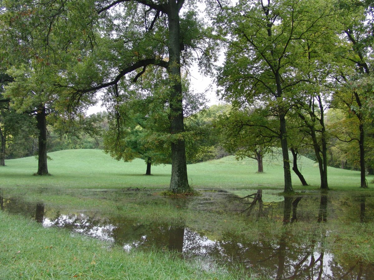 General overview of the Cahokia Mounds archaeological site in Illinois