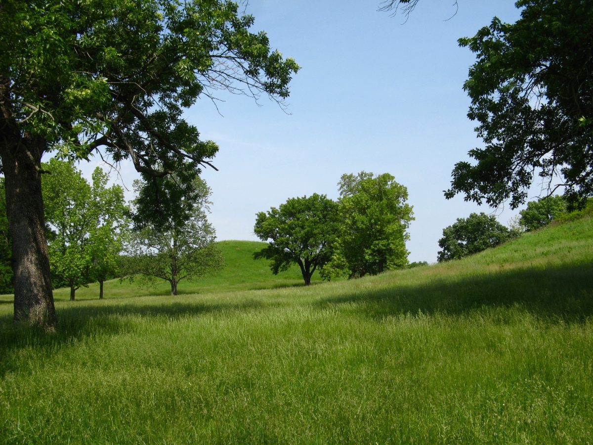 View of the twin mounds at the Cahokia archaeological site