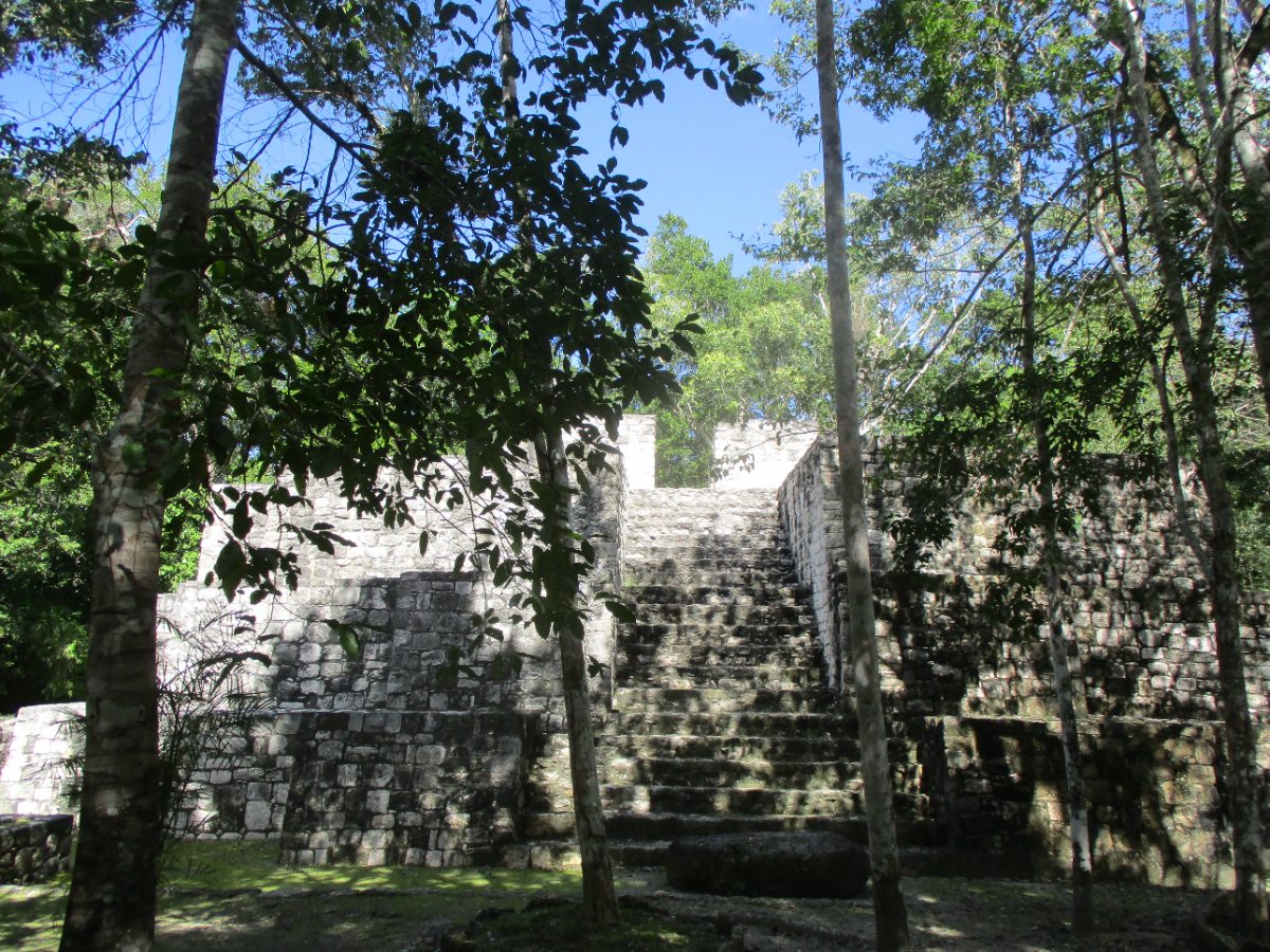 Wide plaza view of structures at the Calakmul archaeological site