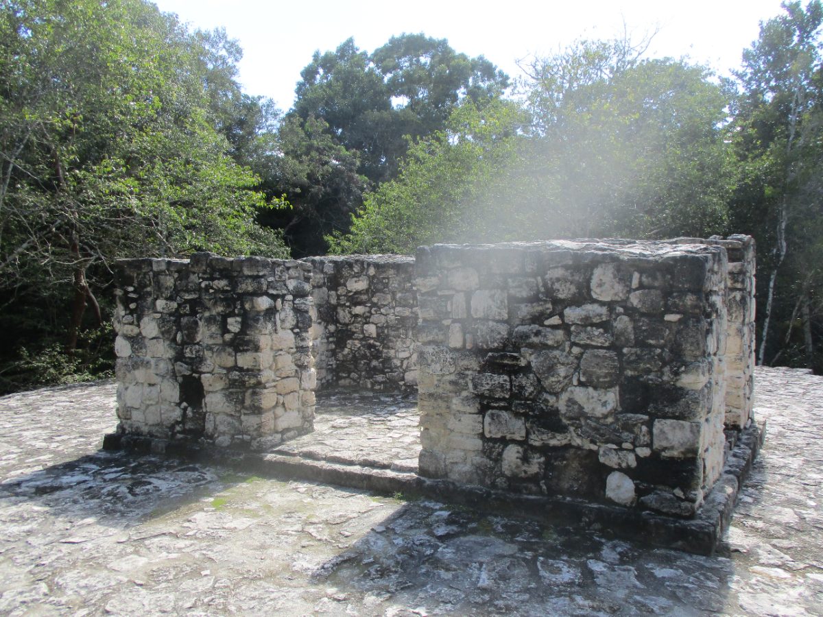 Jungle covered ruins and plaza area at the Calakmul archaeological site