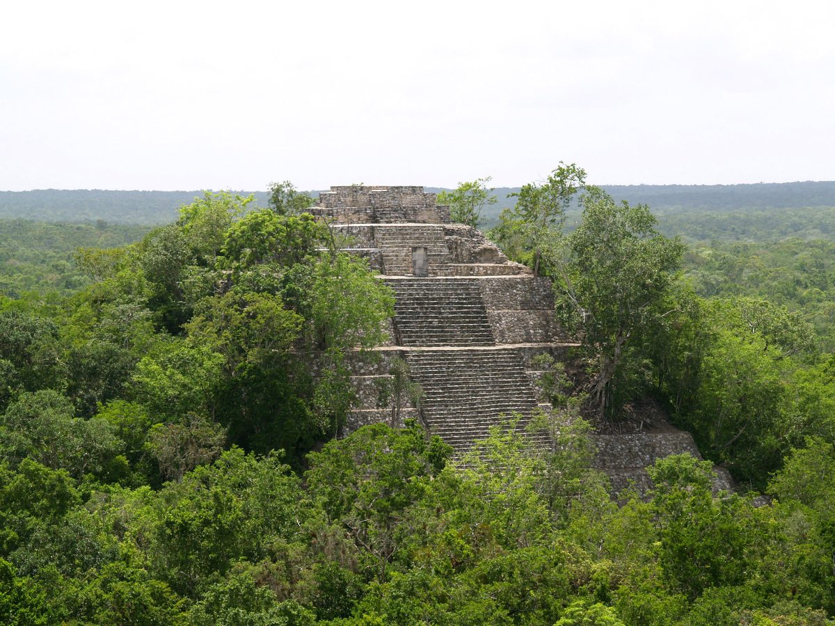 Structure I pyramid at Calakmul rising above the surrounding rainforest