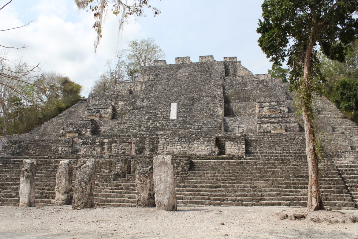 Structure II pyramid rising above the jungle canopy at Calakmul Mexico