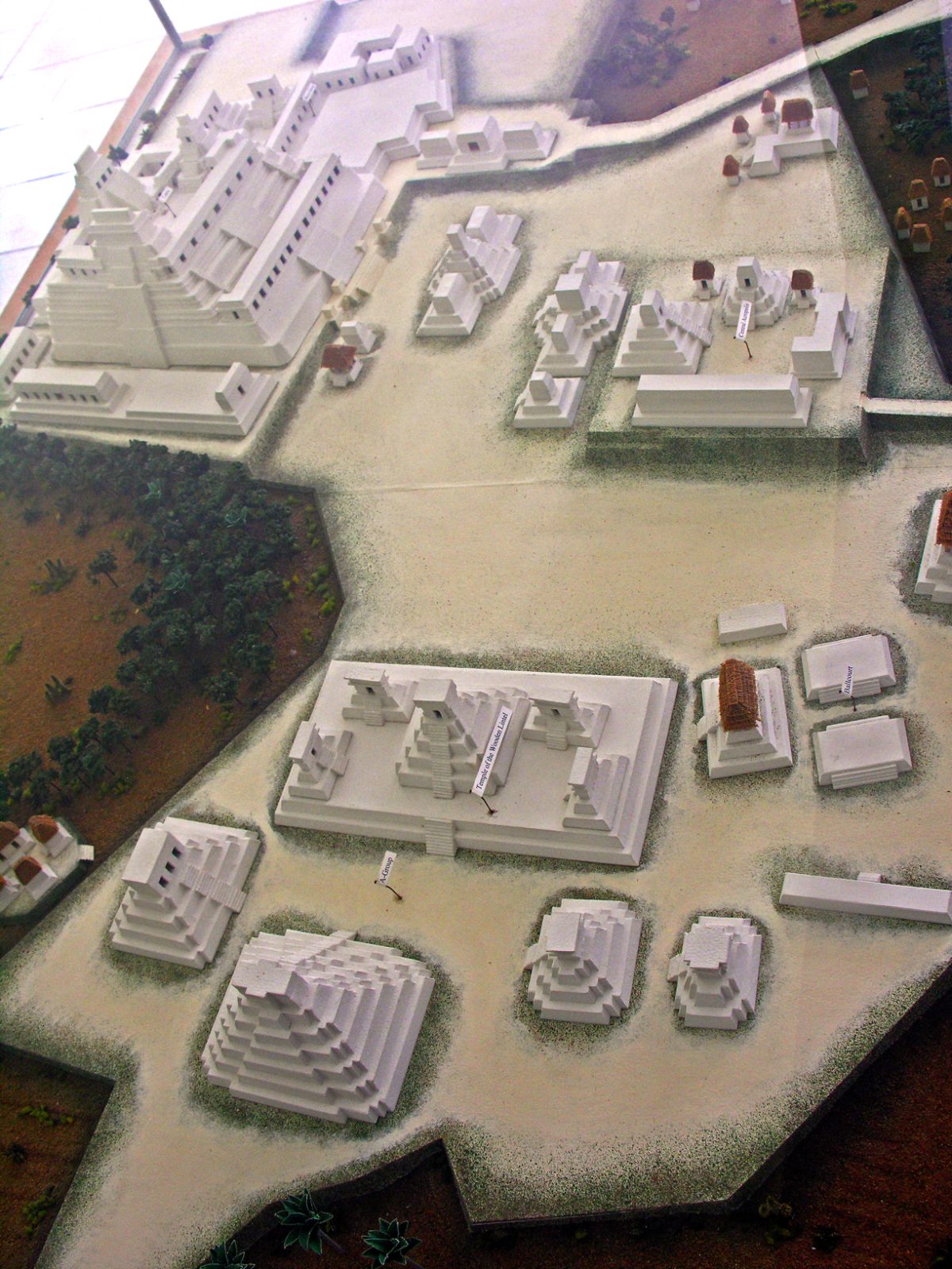 Overview of the Caracol archaeological site in the Belizean jungle