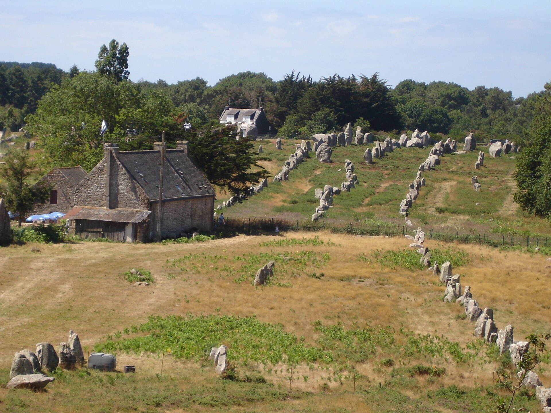 The alignment at Kermario, rank upon rank of standing stones