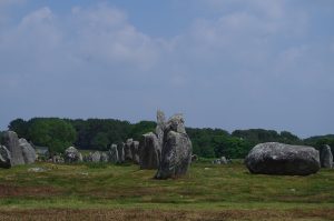 Lines of upright stones stretching toward the horizon