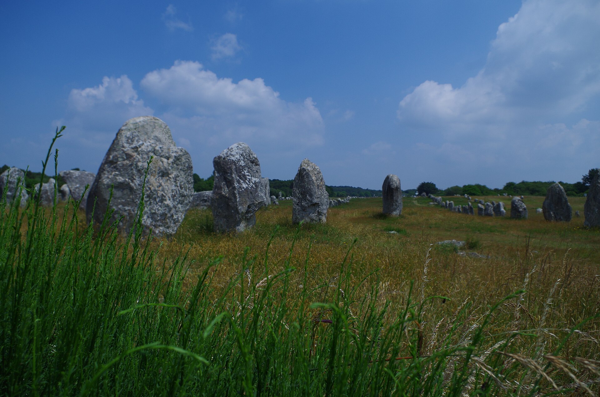 Lines of upright stones stretching toward the horizon
