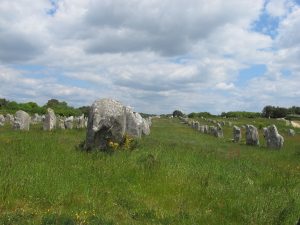 A field of menhirs seen in soft daylight