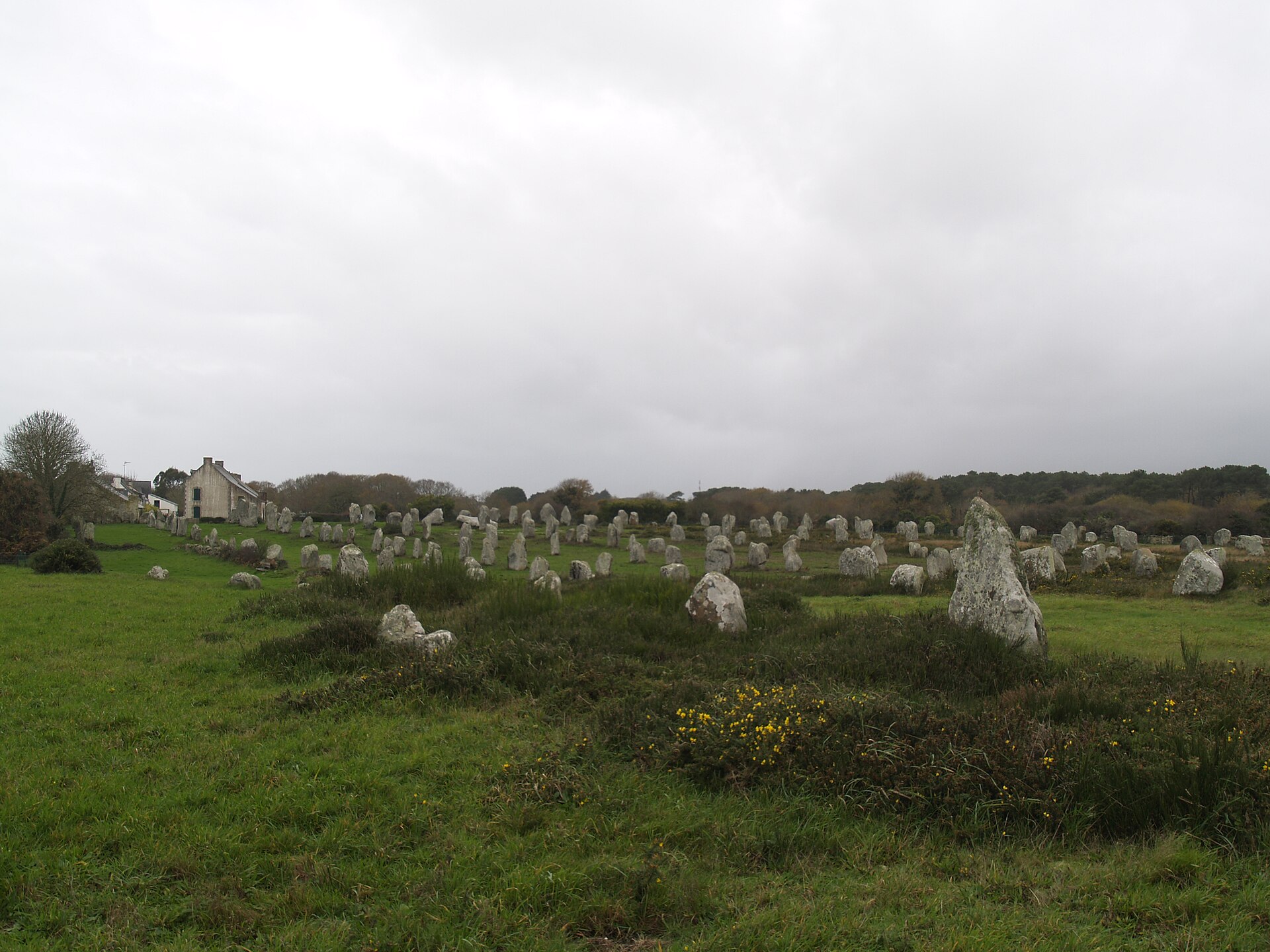 A field of menhirs seen in soft daylight