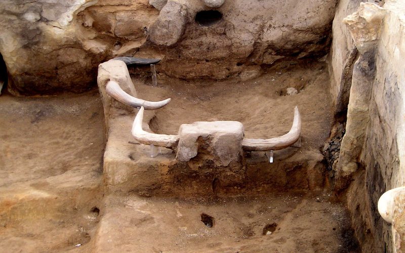 With bulls' horns