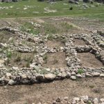 A cell-plan building excavated at the Neolithic site of Cayonu