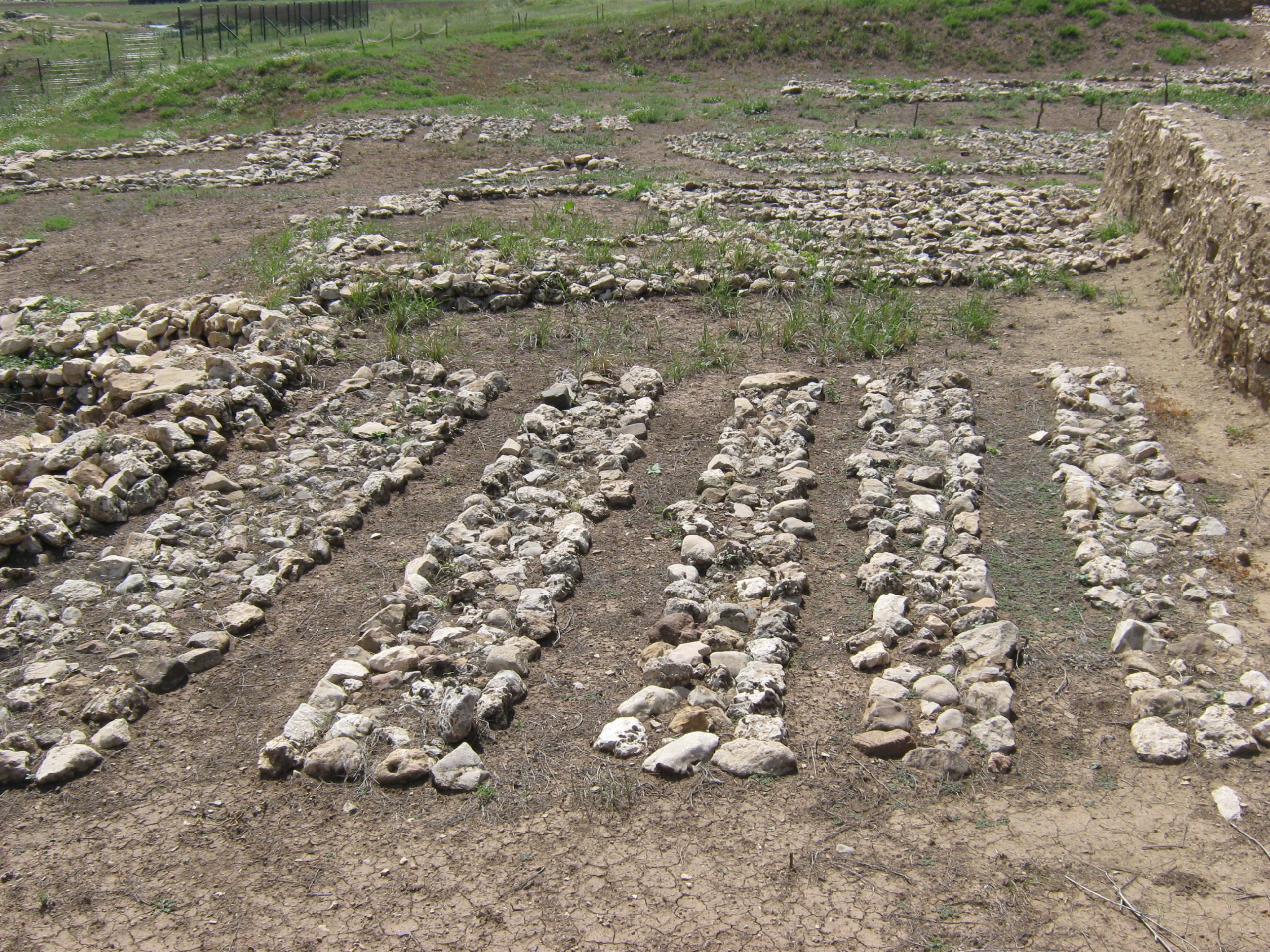A grill-plan building from the early levels of Cayonu