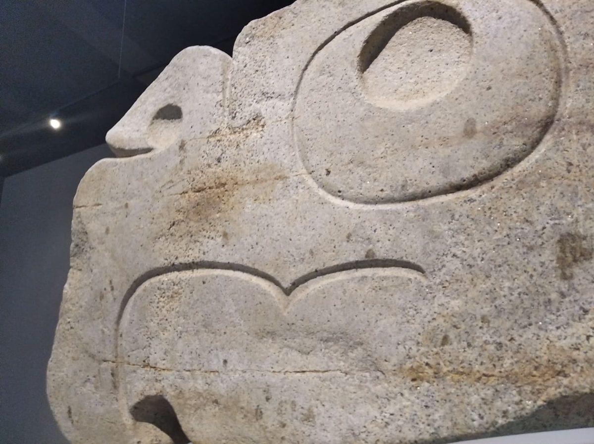 A carved stone bird head artifact from the Chavin culture