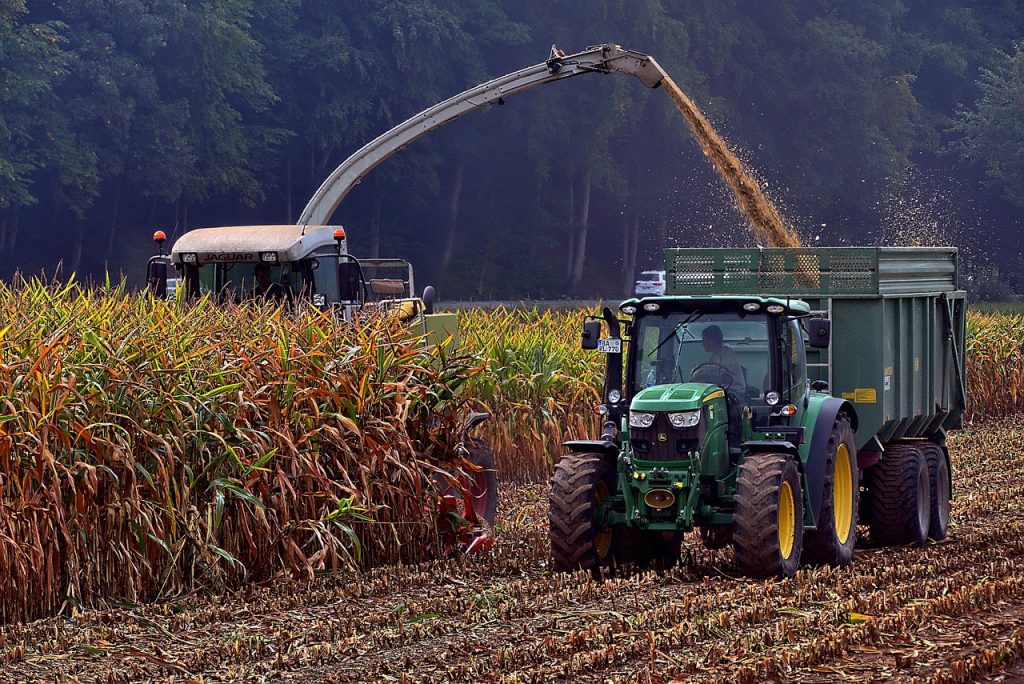 Corn, beans, and squash farming anchored traditional Cherokee subsistence.