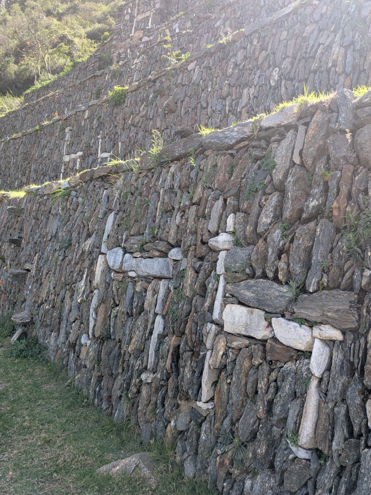 Agricultural terraces at Choquequirao decorated with white stone llama figures