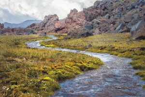 The Caucasus mountains